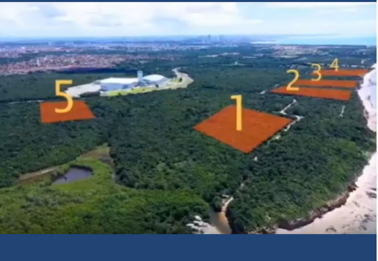 reprodução